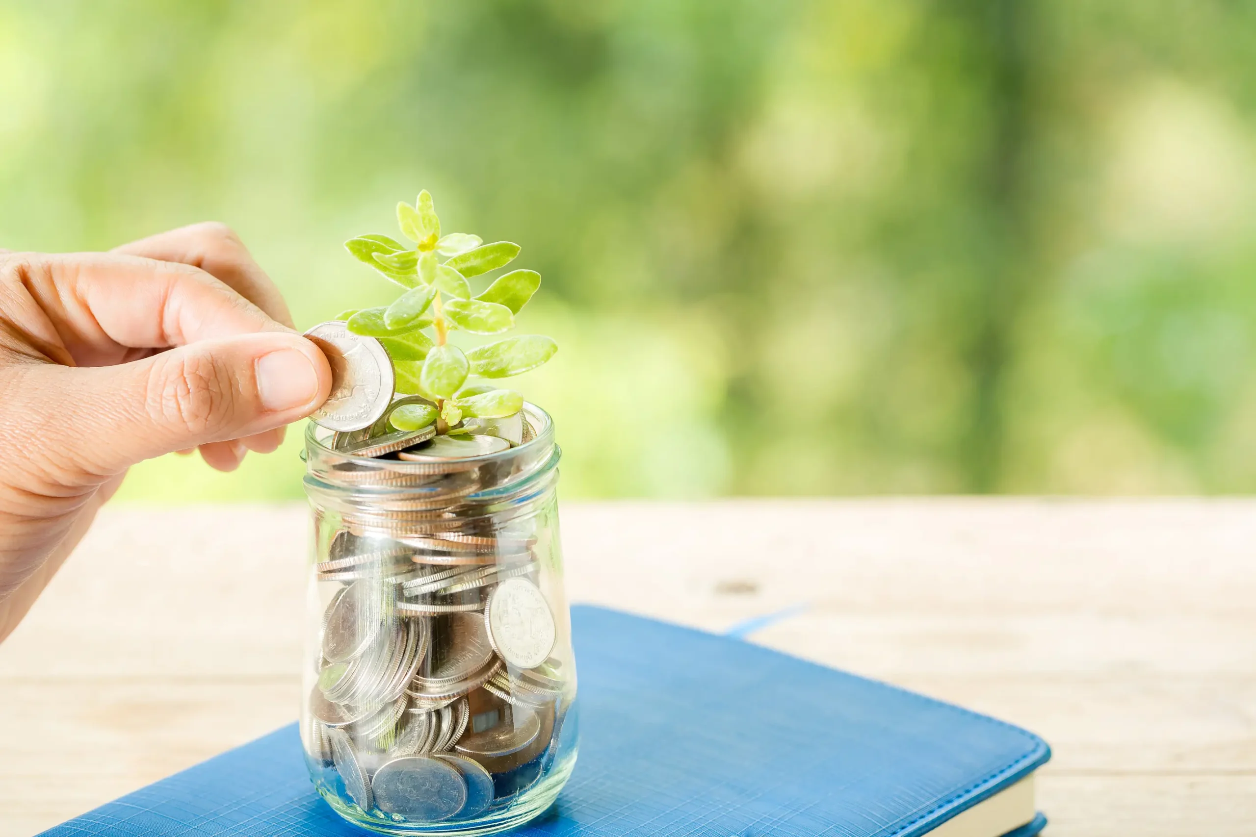 Wealth Management